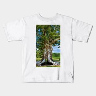 White Bark Tree Kids T-Shirt